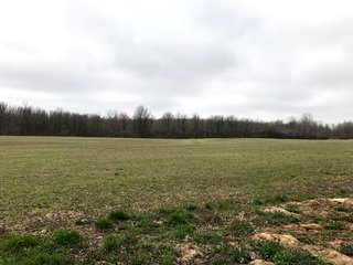 Property photo 24 - LAND AUCTION - 156.63+/- ACRES OFFERED IN 7 TRACTS IN ALLEN COUNTY, INDIANA